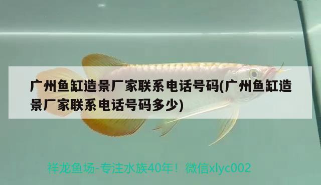 廣州魚缸造景廠家聯(lián)系電話號(hào)碼(廣州魚缸造景廠家聯(lián)系電話號(hào)碼多少)