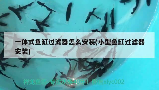 一體式魚缸過濾器怎么安裝(小型魚缸過濾器安裝) 殺菌消毒設備