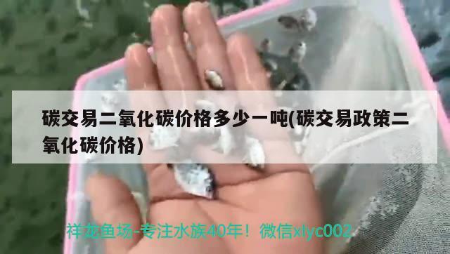 碳交易二氧化碳價格多少一噸(碳交易政策二氧化碳價格) 二氧化碳設(shè)備