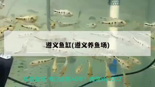 遵義魚缸(遵義養(yǎng)魚場) 祥龍龍魚專用水族燈