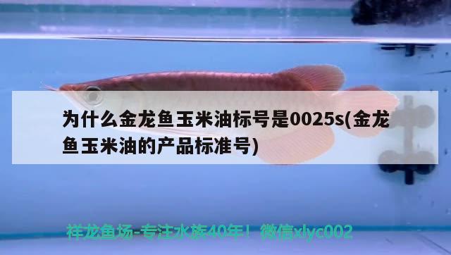 為什么金龍魚玉米油標號是0025s(金龍魚玉米油的產品標準號) 恐龍王魚