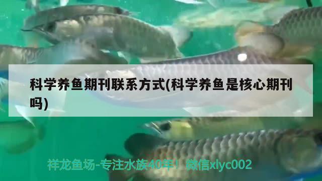 科學(xué)養(yǎng)魚(yú)期刊聯(lián)系方式(科學(xué)養(yǎng)魚(yú)是核心期刊嗎) 白玉紅龍魚(yú)