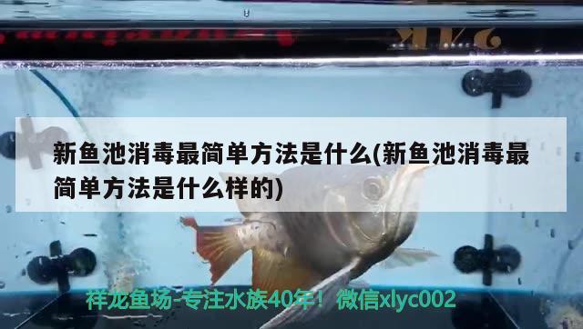 新魚池消毒最簡單方法是什么(新魚池消毒最簡單方法是什么樣的) 觀賞魚企業(yè)目錄