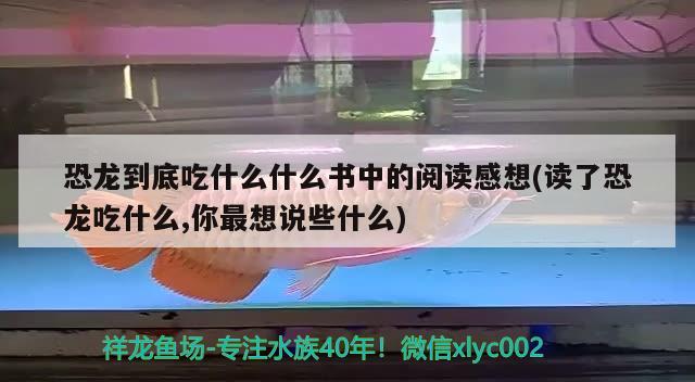 恐龍到底吃什么什么書中的閱讀感想(讀了恐龍吃什么,你最想說些什么)