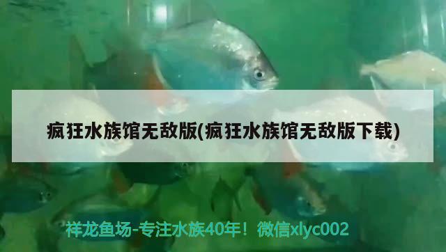 瘋狂水族館無(wú)敵版(瘋狂水族館無(wú)敵版下載) 一眉道人魚