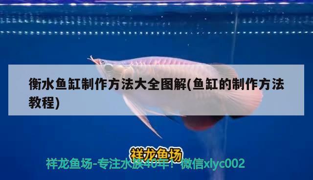 衡水魚(yú)缸制作方法大全圖解(魚(yú)缸的制作方法教程)