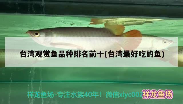 臺(tái)灣觀賞魚(yú)品種排名前十(臺(tái)灣最好吃的魚(yú)) 潛水艇魚(yú)