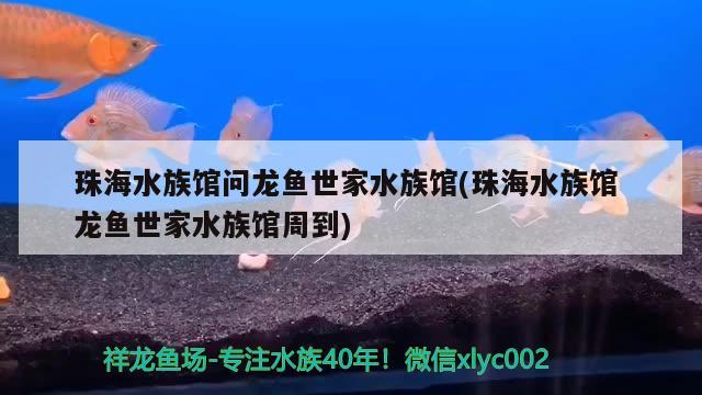 珠海水族館問(wèn)龍魚(yú)世家水族館(珠海水族館 龍魚(yú)世家水族館周到) 黃金河虎魚(yú)