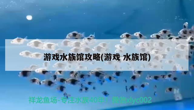 游戲水族館攻略(游戲 水族館) 一眉道人魚苗