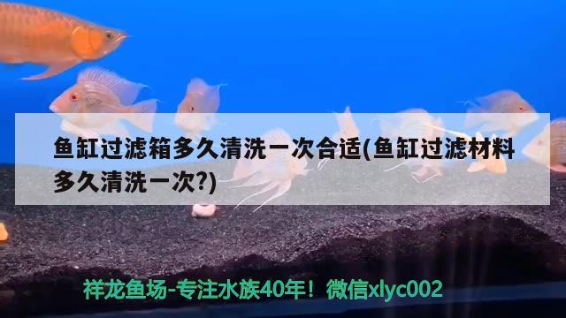 魚缸過濾箱多久清洗一次合適(魚缸過濾材料多久清洗一次？) 雙線側(cè)魚