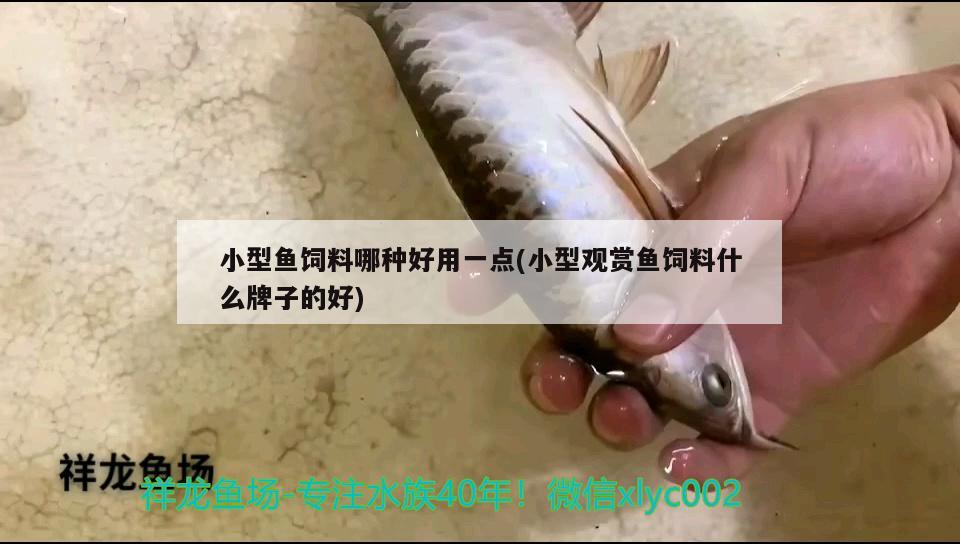 小型魚(yú)飼料哪種好用一點(diǎn)(小型觀賞魚(yú)飼料什么牌子的好) 小型觀賞魚(yú)