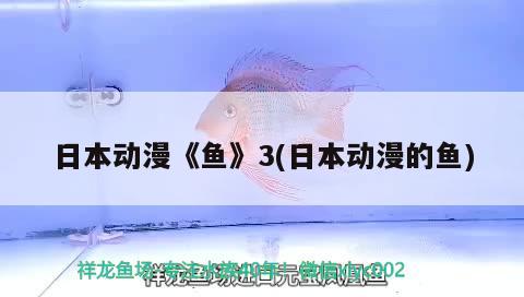 日本動漫《魚》3(日本動漫的魚) 白子黃化銀龍魚