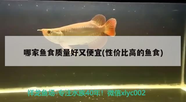 哪家魚食質(zhì)量好又便宜(性價(jià)比高的魚食)