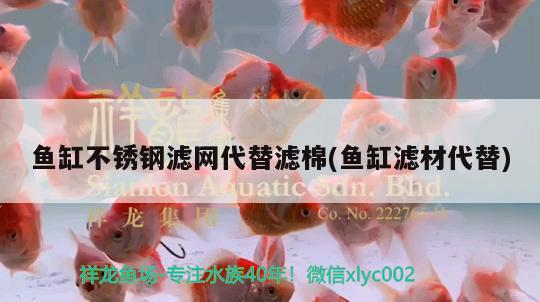 魚缸不銹鋼濾網(wǎng)代替濾棉(魚缸濾材代替)