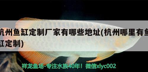 杭州魚缸定制廠家有哪些地址(杭州哪里有魚缸定制) 廣州祥龍國際水族貿(mào)易