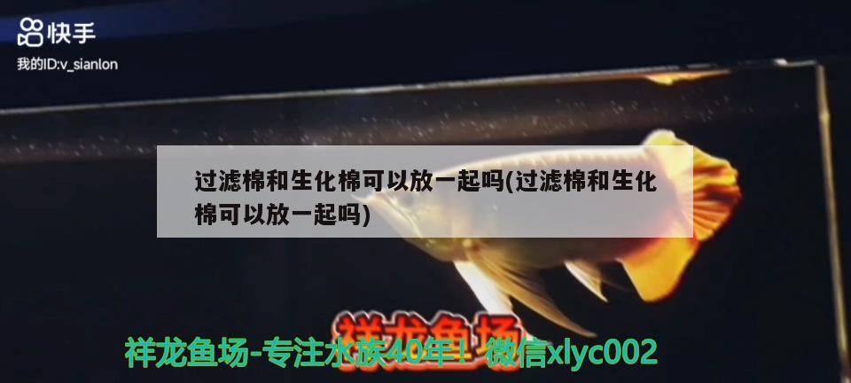 過濾棉和生化棉可以放一起嗎(過濾棉和生化棉可以放一起嗎) 黑白雙星