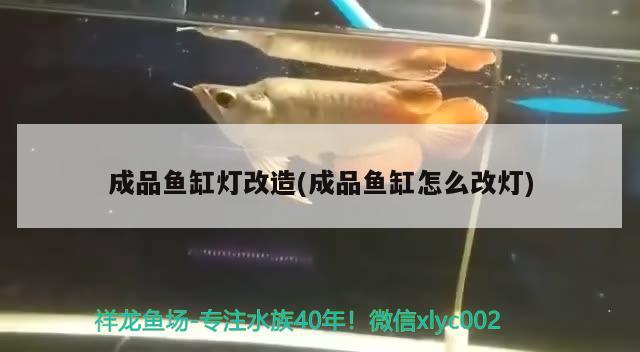 成品魚缸燈改造(成品魚缸怎么改燈) 眼斑魚