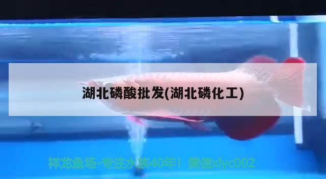 湖北磷酸批發(fā)(湖北磷化工) 水族雜談