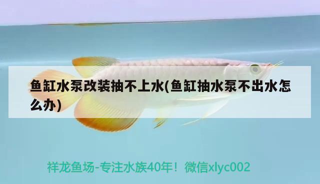 魚缸水泵改裝抽不上水(魚缸抽水泵不出水怎么辦) 魚缸水泵