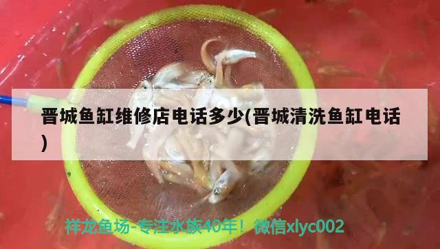 晉城魚缸維修店電話多少(晉城清洗魚缸電話)