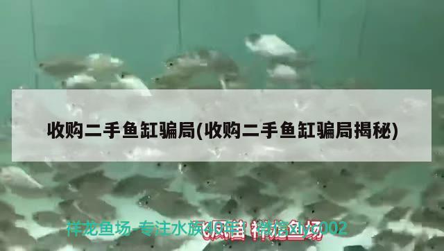 收購二手魚缸騙局(收購二手魚缸騙局揭秘)