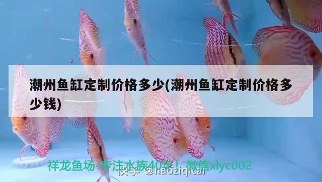 潮州魚缸定制價(jià)格多少(潮州魚缸定制價(jià)格多少錢) 純血皇冠黑白魟魚