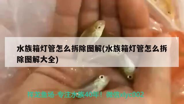 水族箱燈管怎么拆除圖解(水族箱燈管怎么拆除圖解大全) 魚缸/水族箱