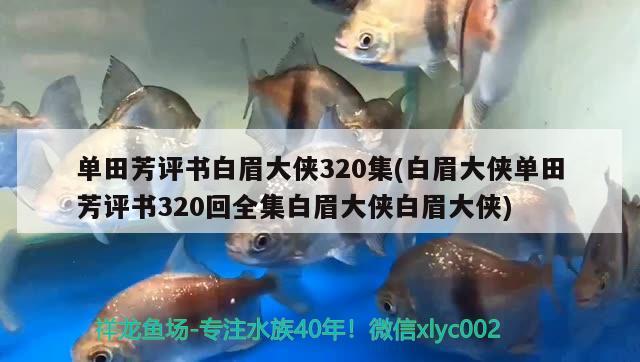 單田芳評書白眉大俠320集(白眉大俠單田芳評書320回全集白眉大俠白眉大俠) 大湖紅龍魚