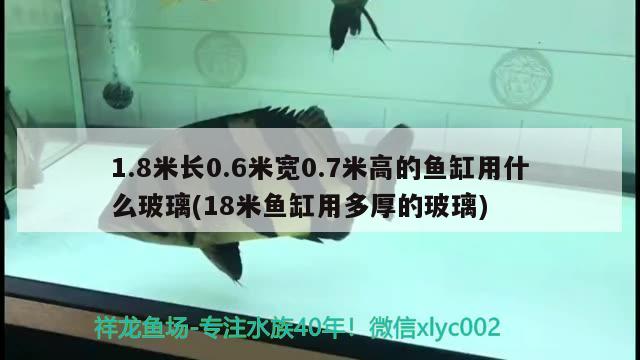 1.8米長0.6米寬0.7米高的魚缸用什么玻璃(18米魚缸用多厚的玻璃) 申古銀版魚