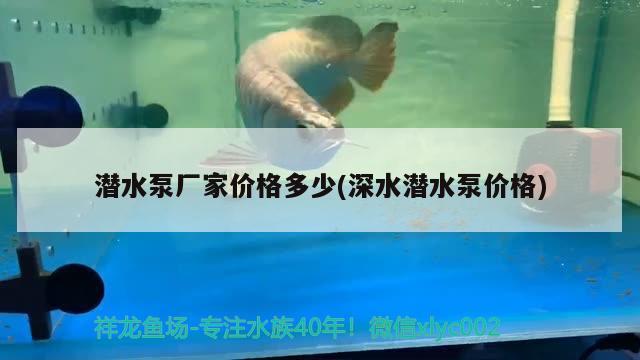 潛水泵廠家價格多少(深水潛水泵價格) 名貴錦鯉魚