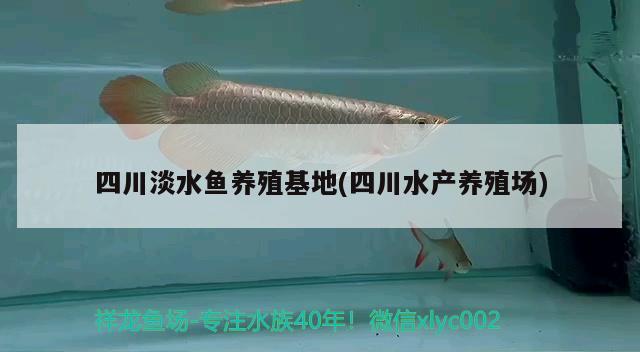 四川淡水魚養(yǎng)殖(四川水產(chǎn)養(yǎng)殖場) 養(yǎng)魚知識