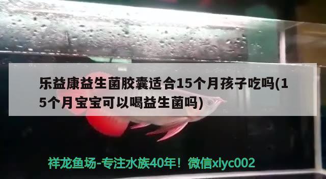 樂益康益生菌膠囊適合15個(gè)月孩子吃嗎(15個(gè)月寶寶可以喝益生菌嗎) 國產(chǎn)元寶鳳凰魚