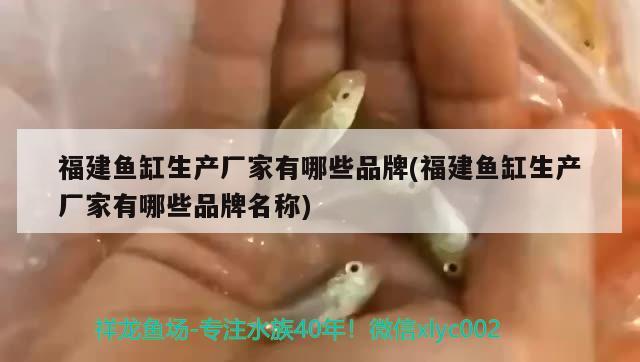 福建魚缸生產(chǎn)廠家有哪些品牌(福建魚缸生產(chǎn)廠家有哪些品牌名稱) 龍魚疾病與治療