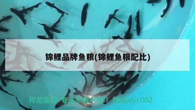 錦鯉品牌魚糧(錦鯉魚糧配比)