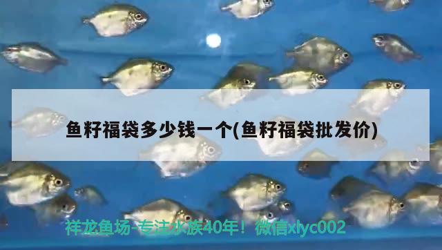 魚籽福袋多少錢一個(魚籽福袋批發(fā)價)