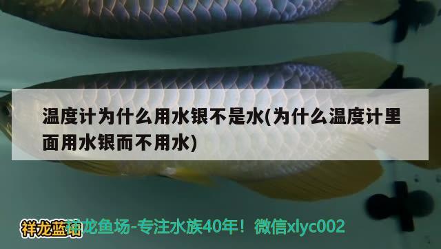 溫度計(jì)為什么用水銀不是水(為什么溫度計(jì)里面用水銀而不用水) 斑馬狗頭魚