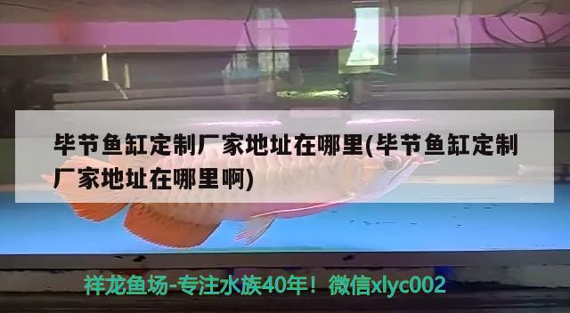 畢節(jié)魚缸定制廠家地址在哪里(畢節(jié)魚缸定制廠家地址在哪里啊) 熊貓異形魚L46