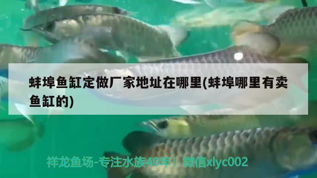 蚌埠魚缸定做廠家地址在哪里(蚌埠哪里有賣魚缸的) 賽級(jí)紅龍魚