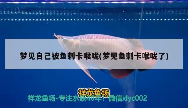 夢見自己被魚刺卡喉嚨(夢見魚刺卡喉嚨了) 魚糧魚藥