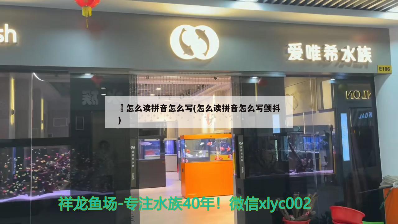 凥怎么讀拼音怎么寫(怎么讀拼音怎么寫顫抖) 魚缸清潔用具