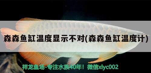 森森魚缸溫度顯示不對(森森魚缸溫度計)