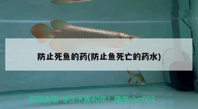 防止死魚的藥(防止魚死亡的藥水) 三色錦鯉魚