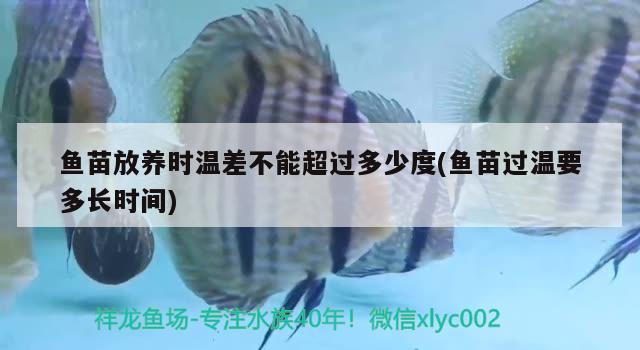 魚苗放養(yǎng)時(shí)溫差不能超過(guò)多少度(魚苗過(guò)溫要多長(zhǎng)時(shí)間) 赤焰中國(guó)虎魚