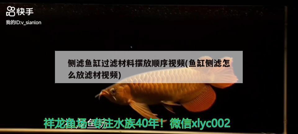 側(cè)濾魚缸過濾材料擺放順序視頻(魚缸側(cè)濾怎么放濾材視頻) 薩伊藍(lán)魚