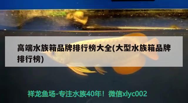 高端水族箱品牌排行榜大全(大型水族箱品牌排行榜) 魚缸/水族箱