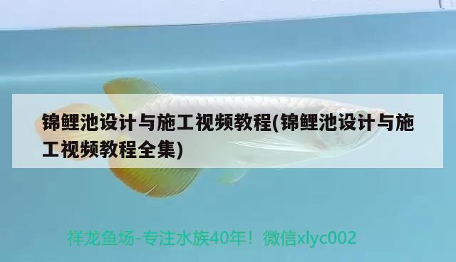 錦鯉池設(shè)計與施工視頻教程(錦鯉池設(shè)計與施工視頻教程全集) 紅老虎魚