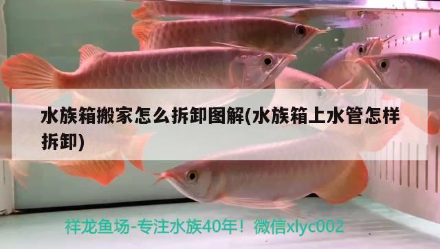 水族箱搬家怎么拆卸圖解(水族箱上水管怎樣拆卸) 魚缸/水族箱