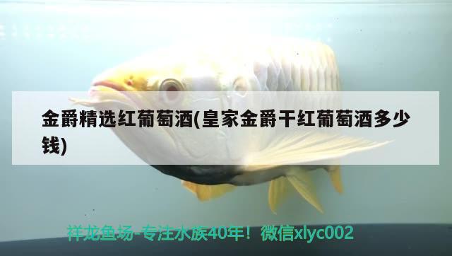 金爵精選紅葡萄酒(皇家金爵干紅葡萄酒多少錢) 虎斑恐龍魚(yú)