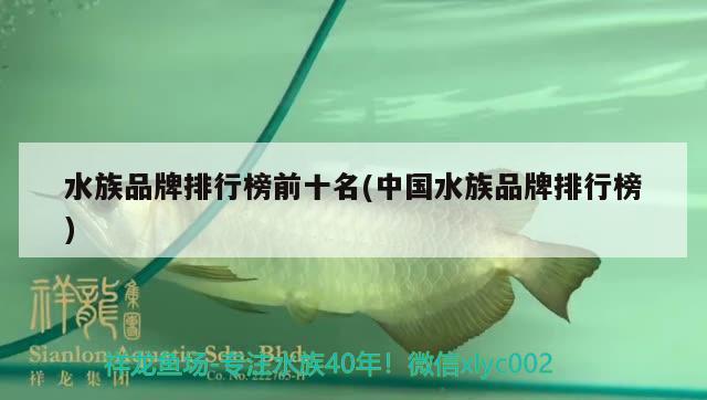 水族品牌排行榜前十名(中國(guó)水族品牌排行榜) 水族品牌