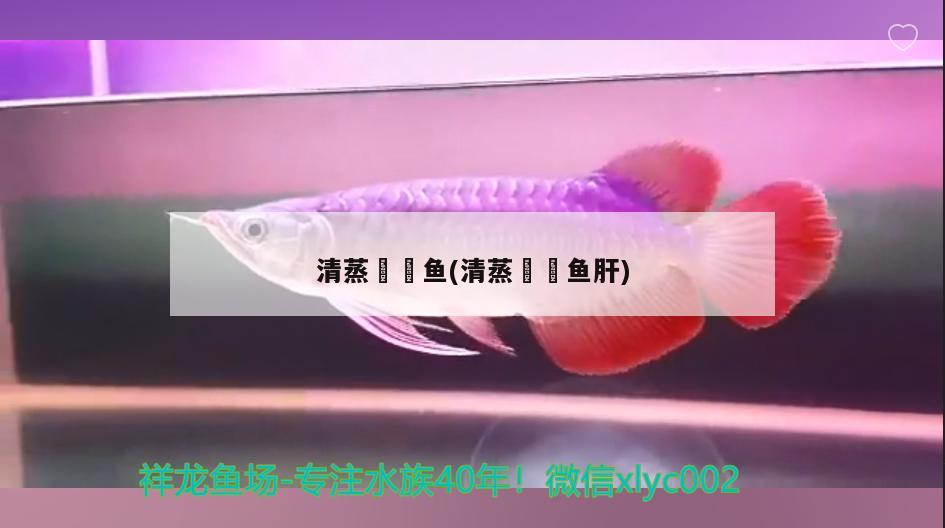 清蒸鮟鱇魚(清蒸鮟鱇魚肝)